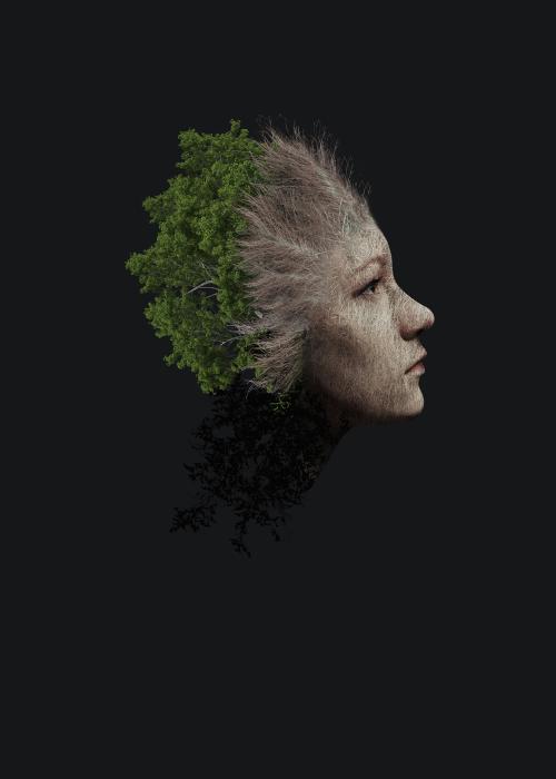 印度护照电子版哪里可以做假的